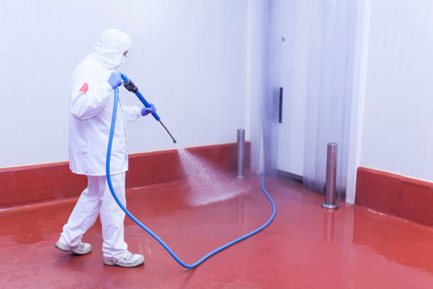 Boat and Dock Cleaning in Whitesboro, NY
